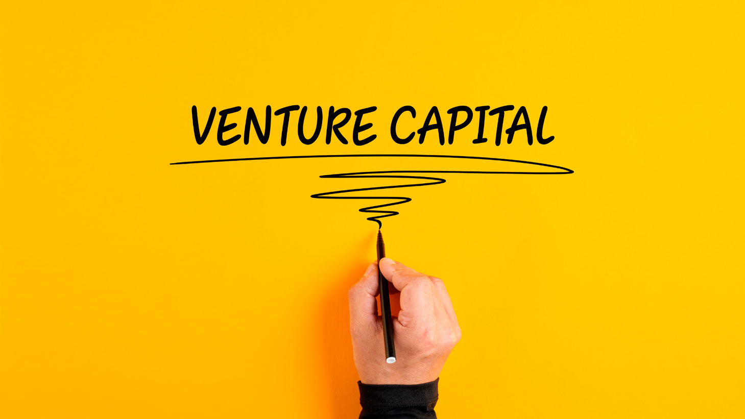 Raising Funds from a Venture Capital for Entrepreneurs